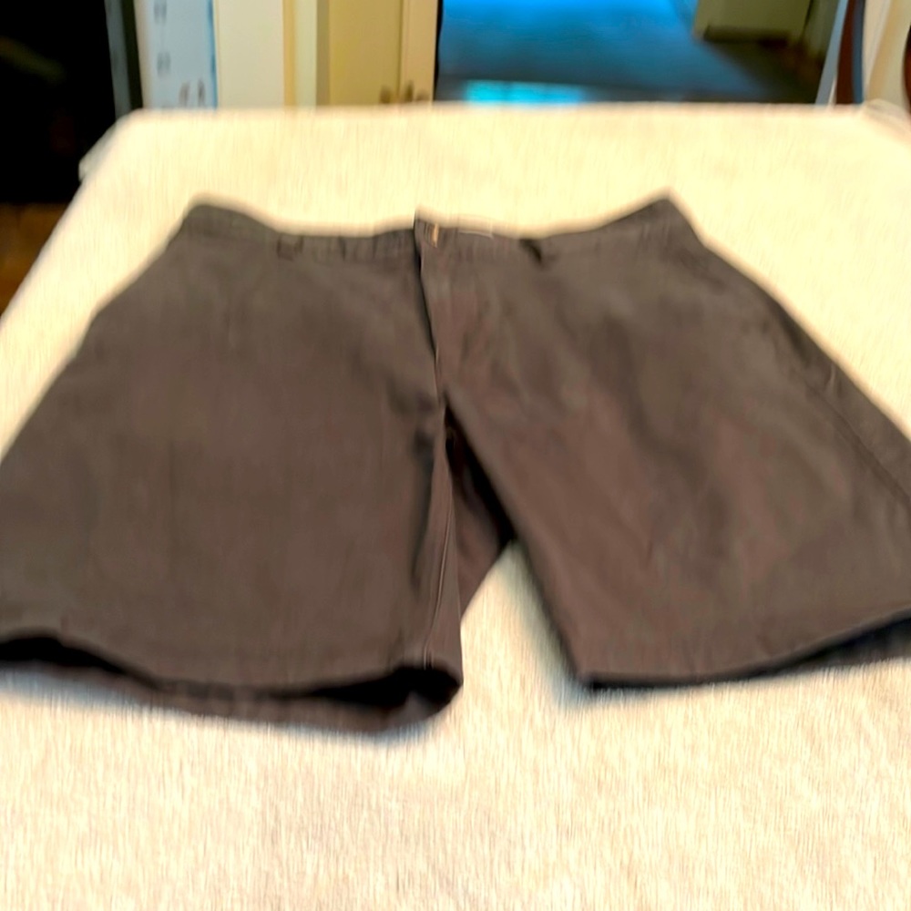 Flint and Tinder chino short 9” Size 32